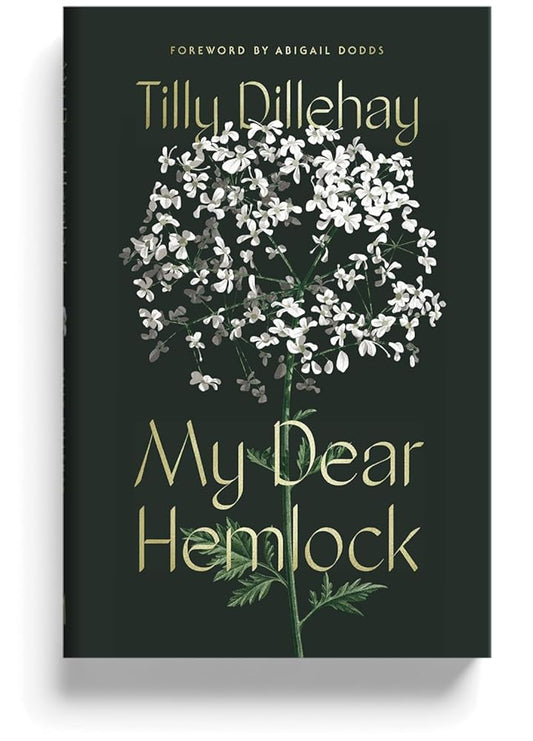 My Dear Hemlock - A Christian Living Book for Women, Guard Against Vices, Grow in Virtue, Christian Book for Women cover image